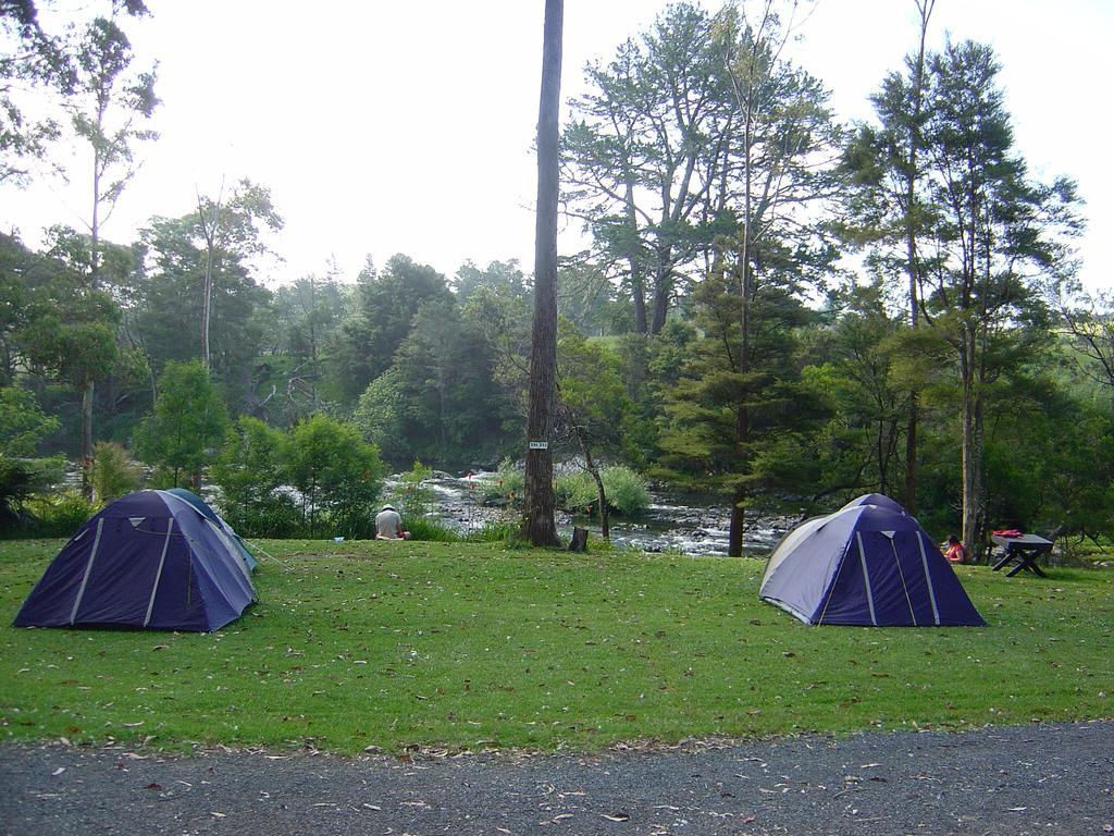 Bay Of Islands Holiday Park بيهْيا المظهر الخارجي الصورة